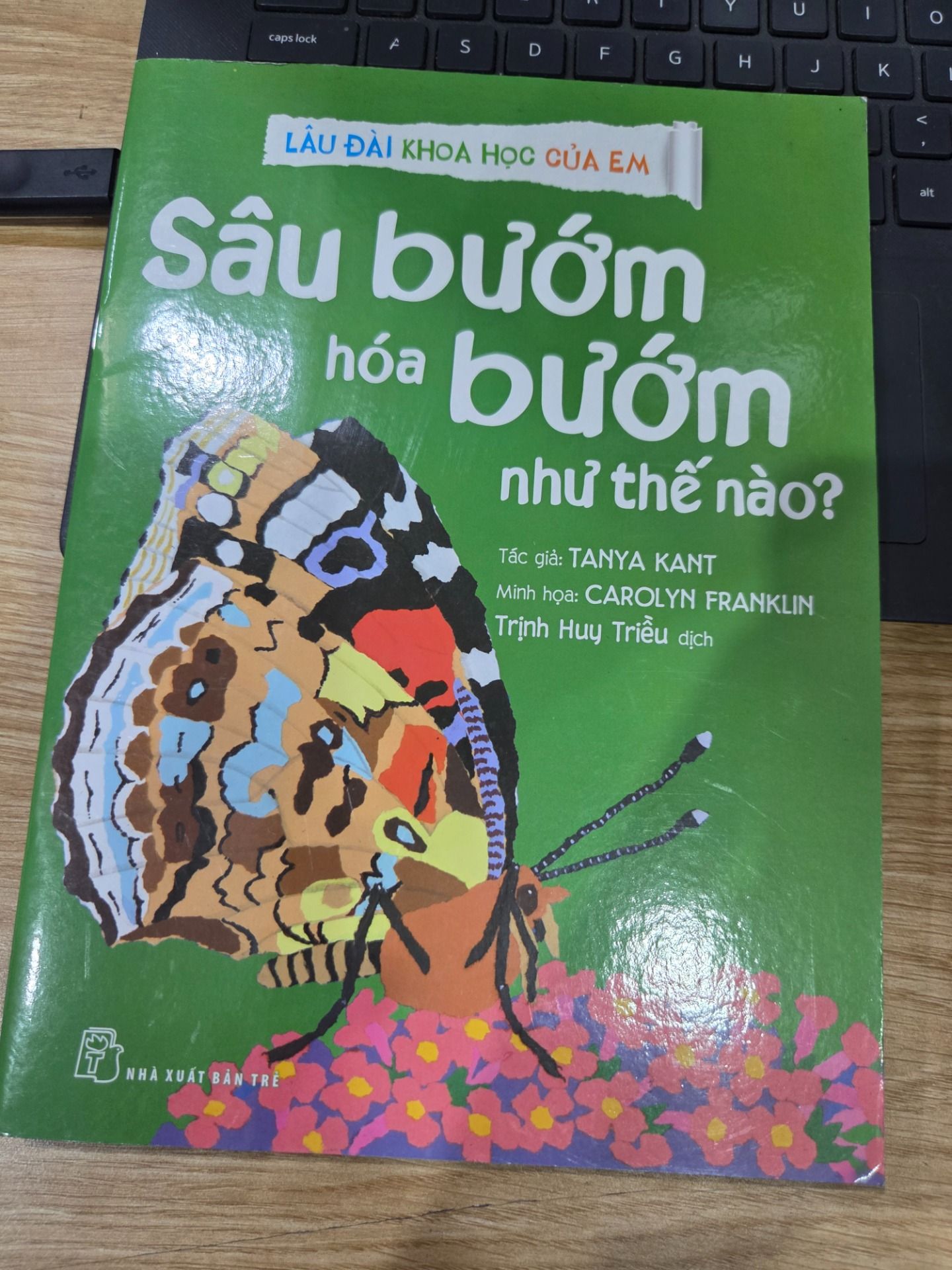 Sách Lâu Đài Khoa Học Của Em - Sâu Bướm