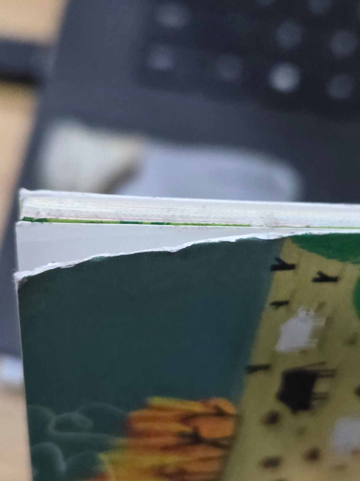 Sách Chúng Ta Có Thể Bảo Vệ Trái Đất? - Giải cứu cây xanh