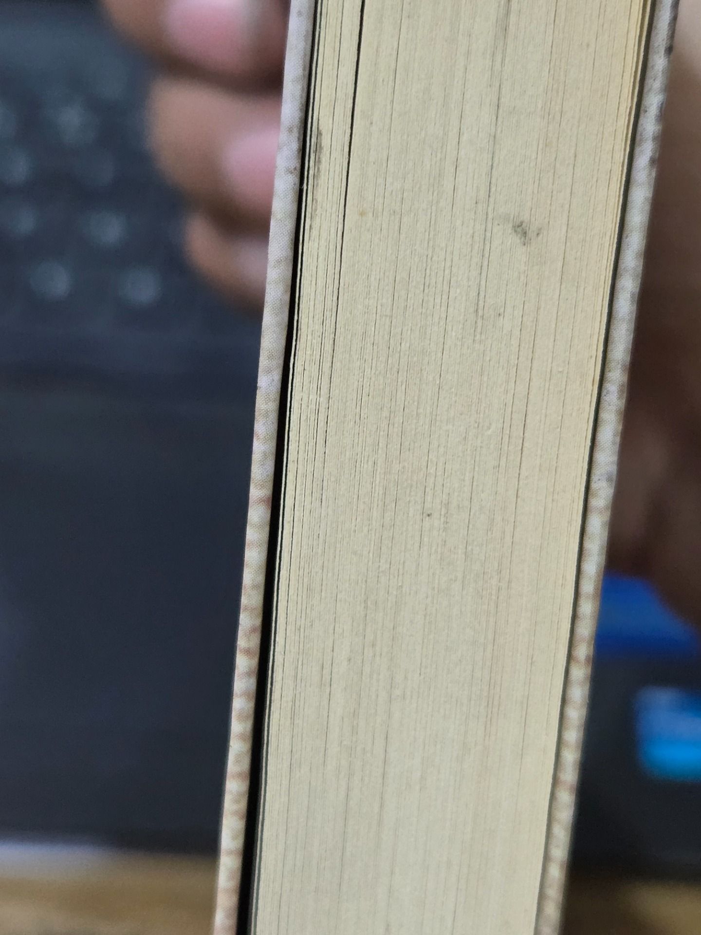 Sách Ký Ức Vụn - Tập 2 (Tái Bản)