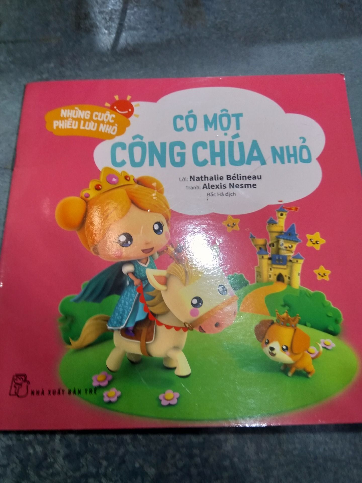 Bộ sách Những cuộc phiêu lưu nhỏ - Có một công chúa nhỏ