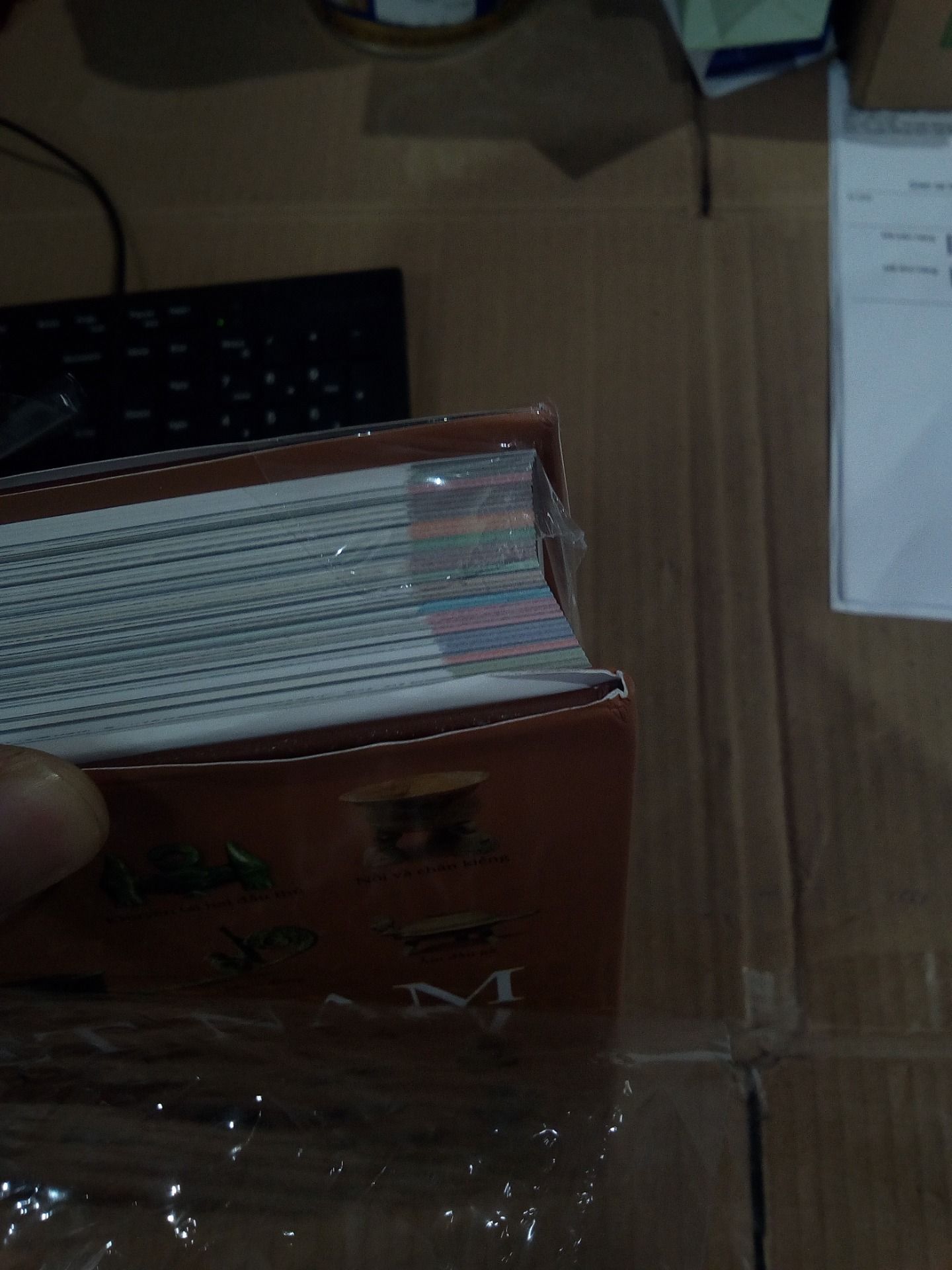 Lịch sử Việt Nam bằng hình - Gần 2000 minh họa tranh ảnh và bản đồ