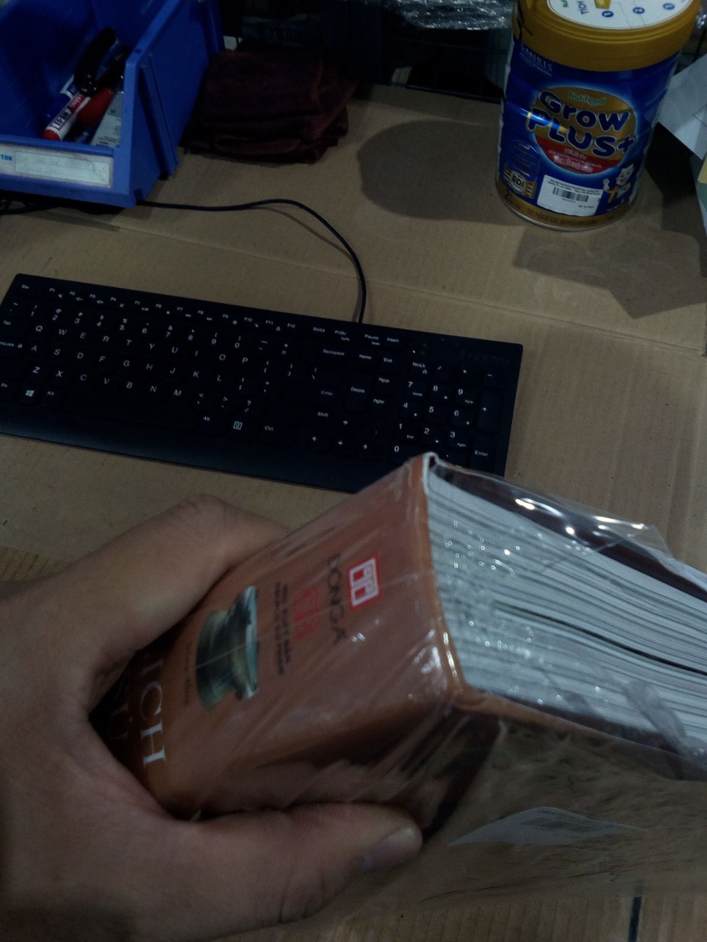 Lịch sử Việt Nam bằng hình - Gần 2000 minh họa tranh ảnh và bản đồ