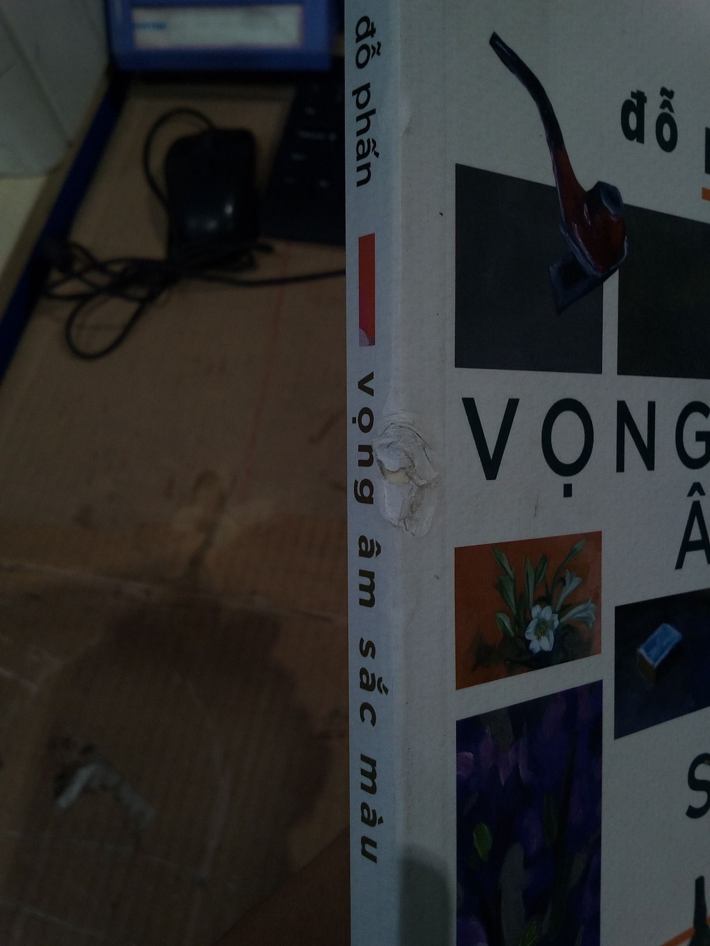 Sách Vọng Âm Sắc Màu - Tạp Ghi Mỹ Thuật