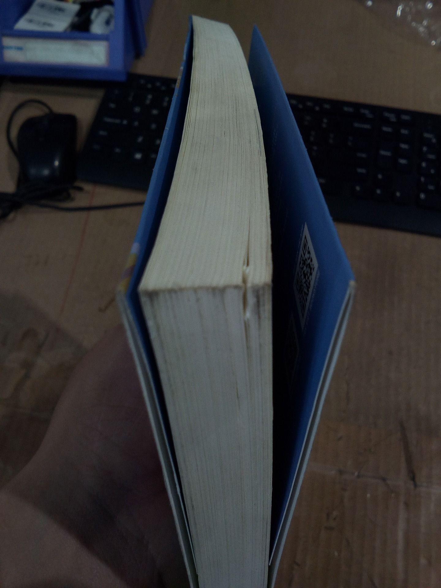 Sách Đôi Giày Ba-Lê - Noel Streatfeild