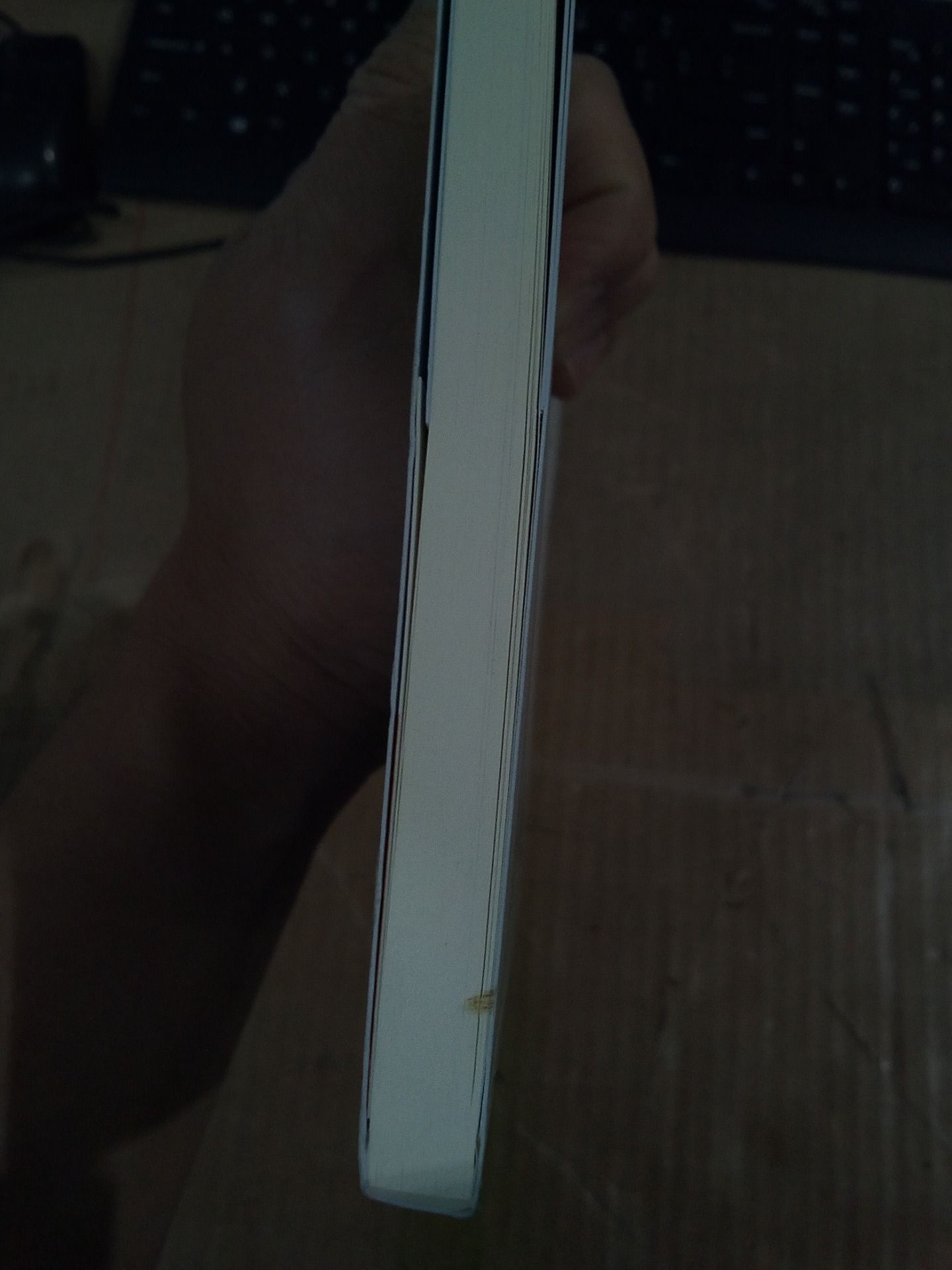 Sách Vọng Âm Sắc Màu - Tạp Ghi Mỹ Thuật