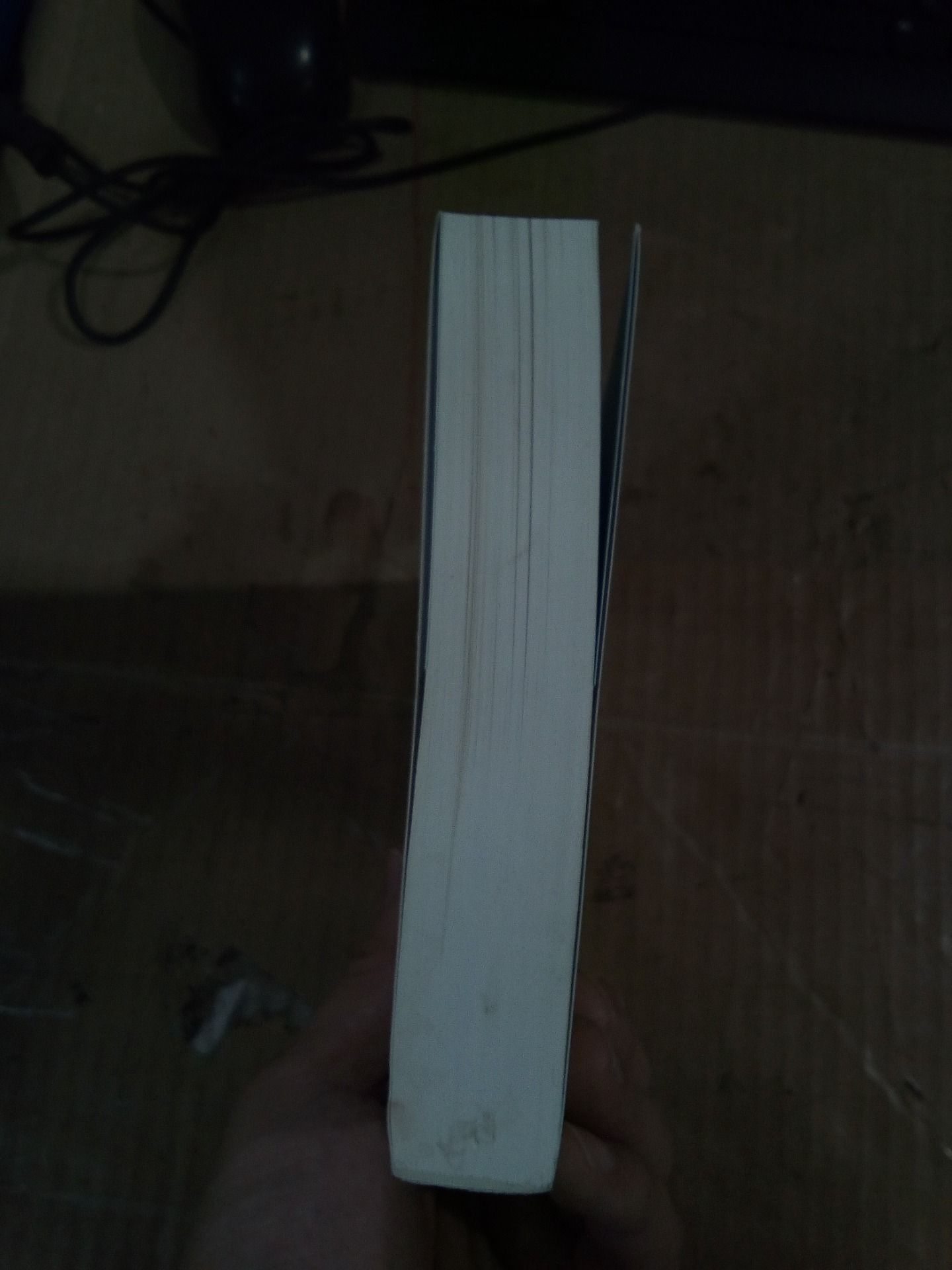 Sách Những Ảo Tưởng Lãnh Đạo