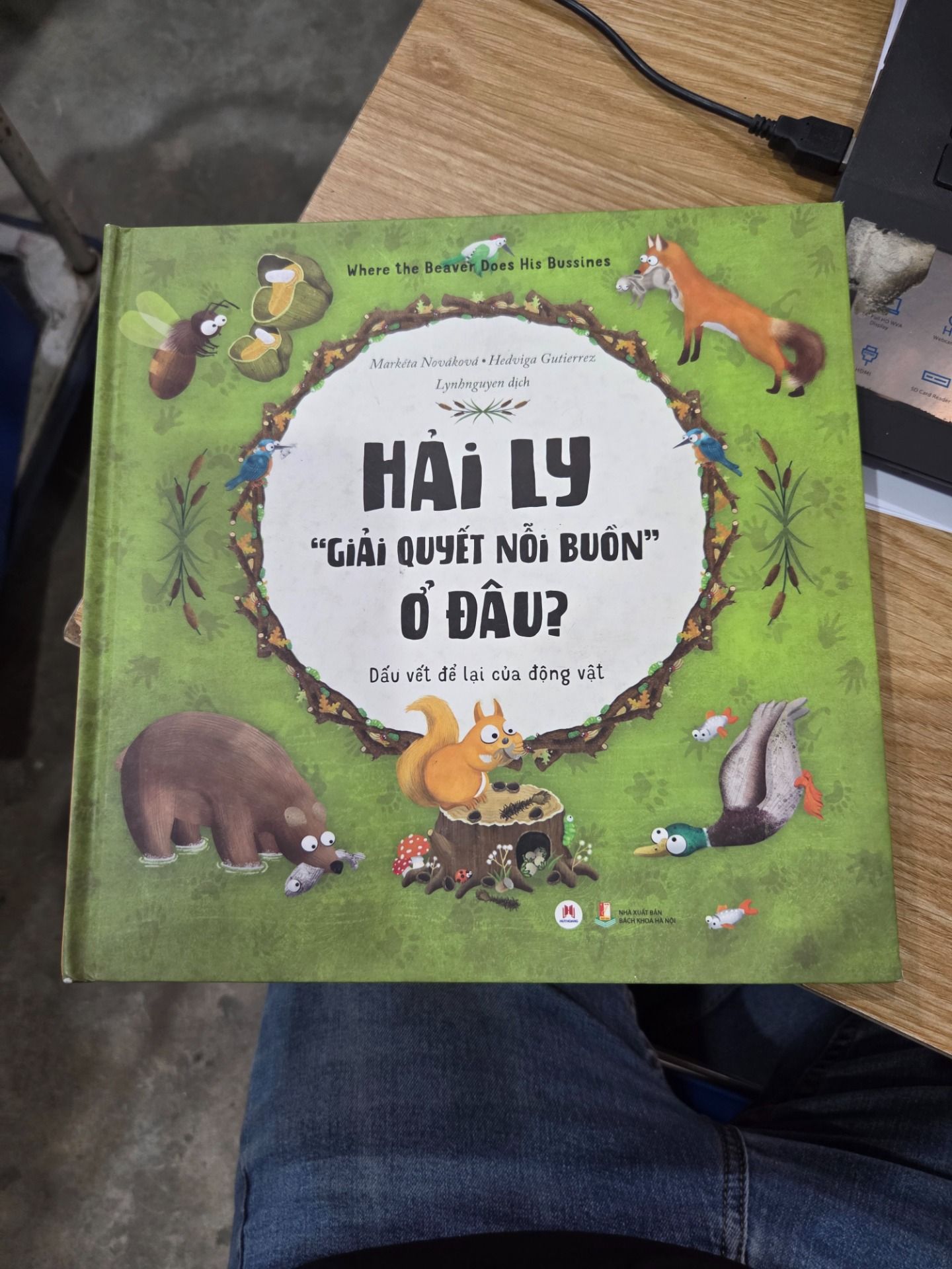 Sách Hải Ly "Giải Quyết Nỗi Buồn" Ở Đâu