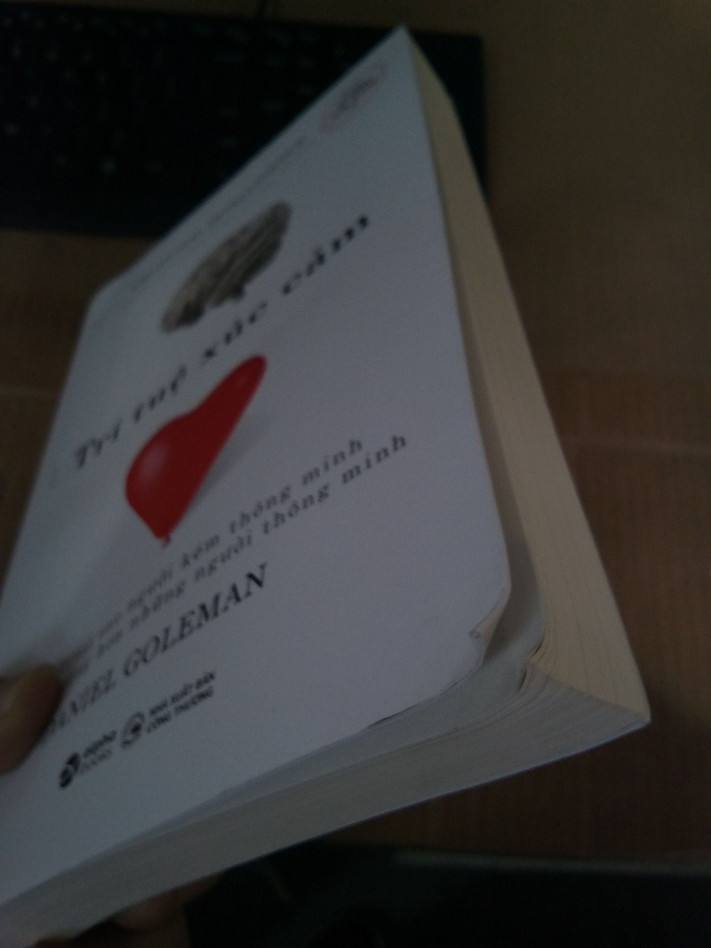 Sách Trí Tuệ Xúc Cảm