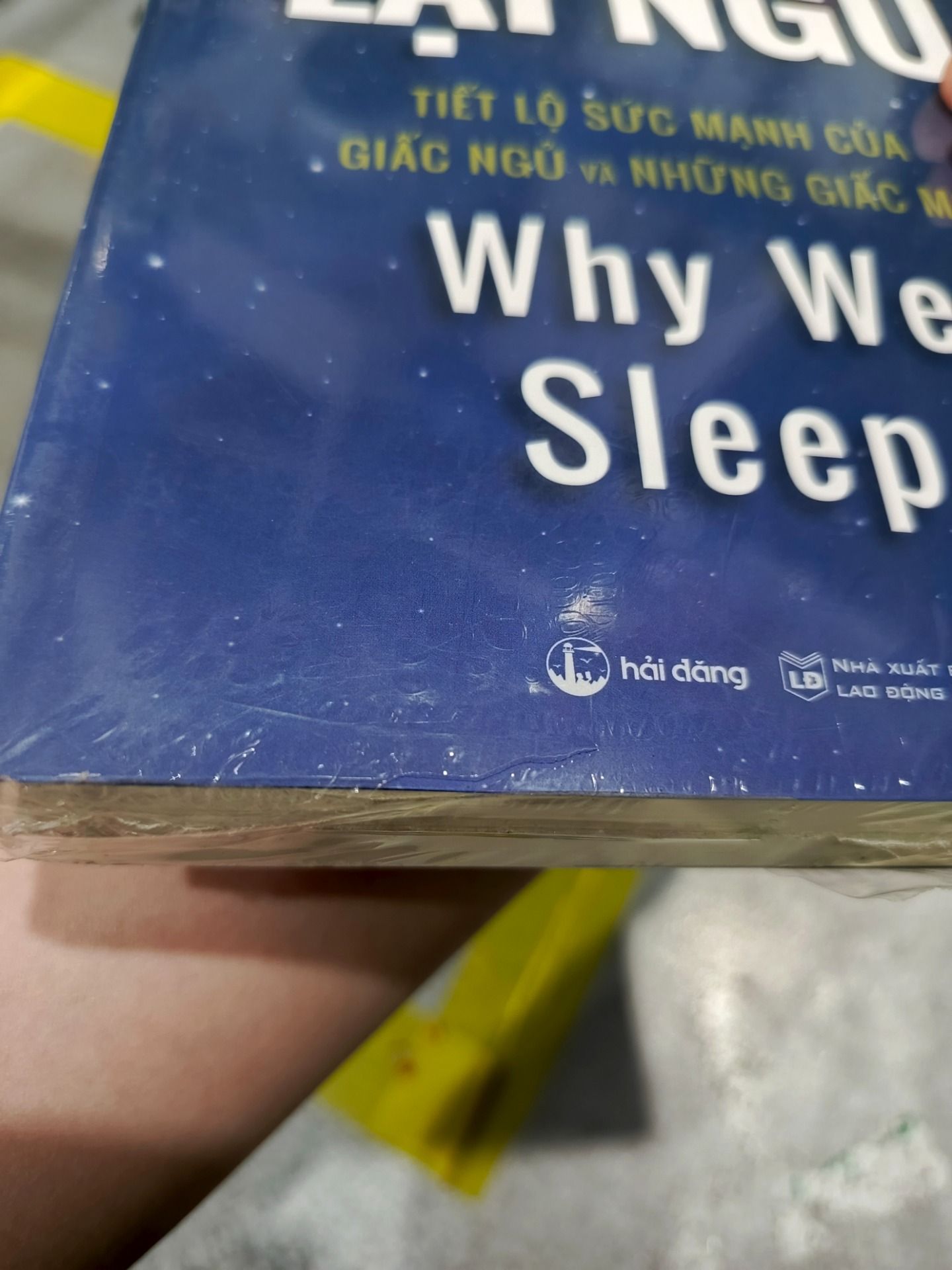 Sao Chúng Ta Lại Ngủ