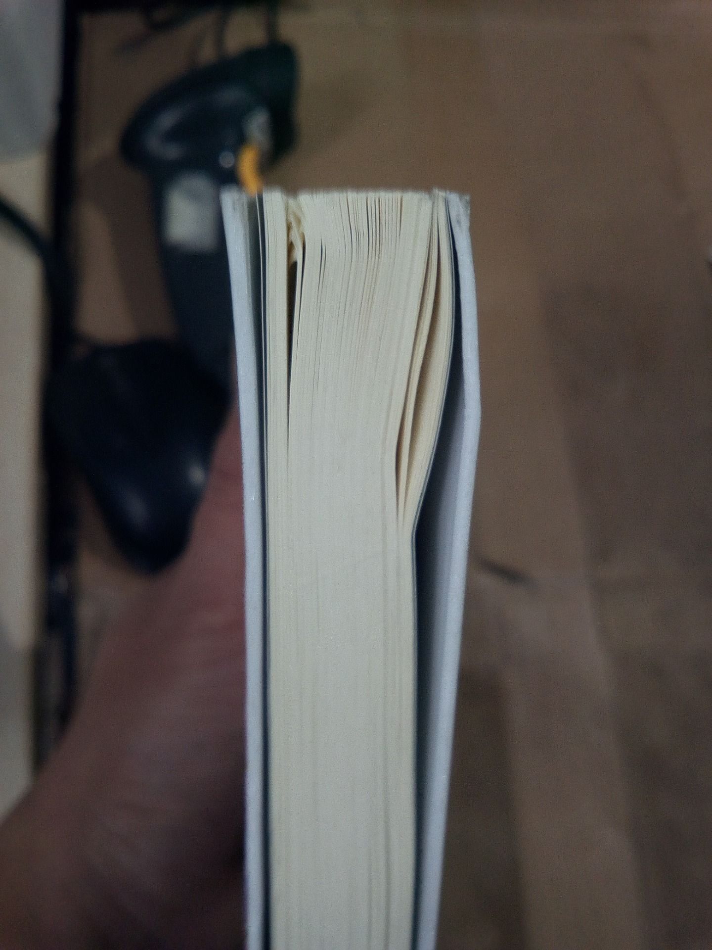 Sách Sự Dung Dị Của Ngôn Từ