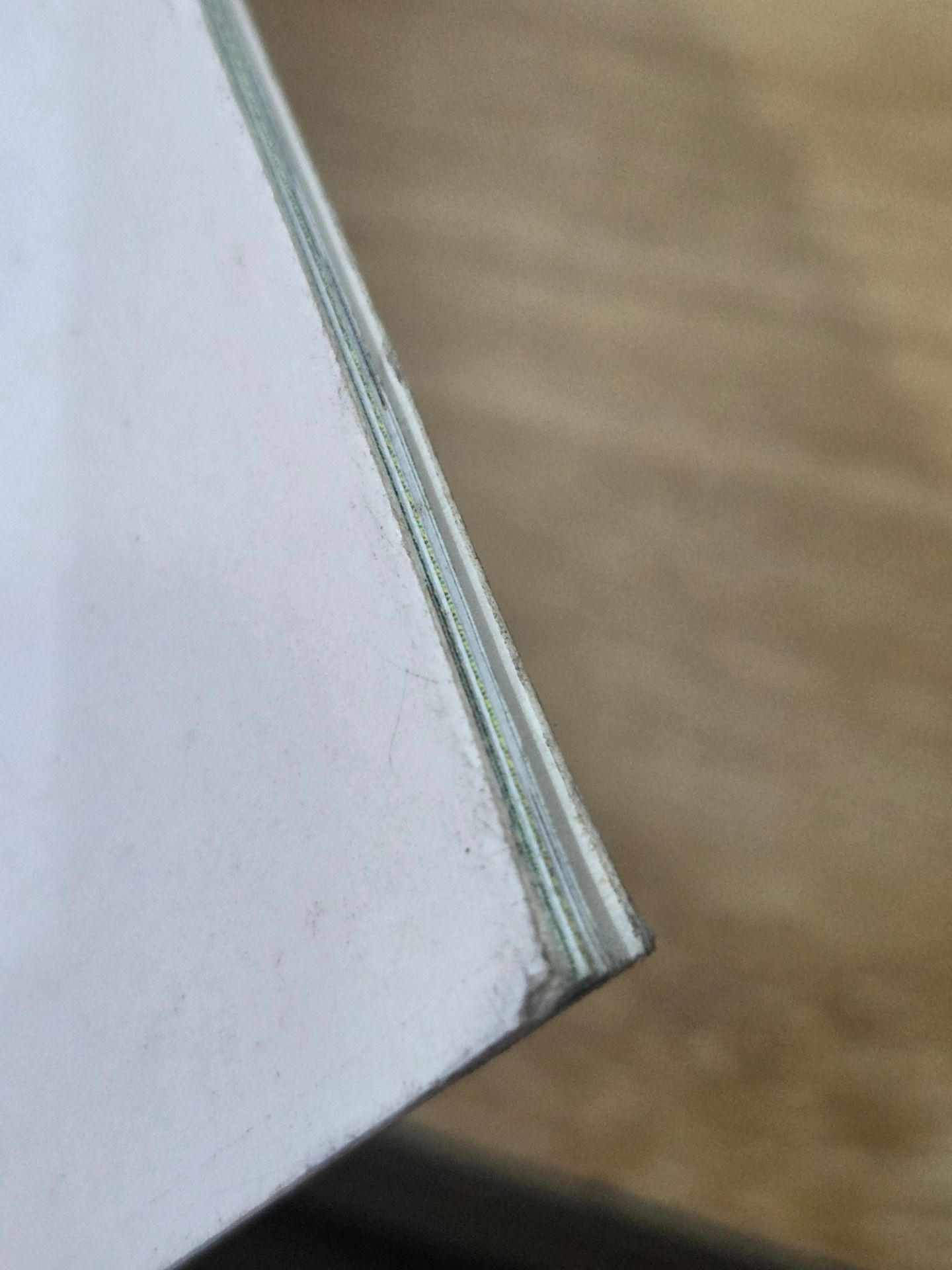 Bộ sách Chuyện ở Rừng Hạnh Phúc - Nhà vô địch thứ hai