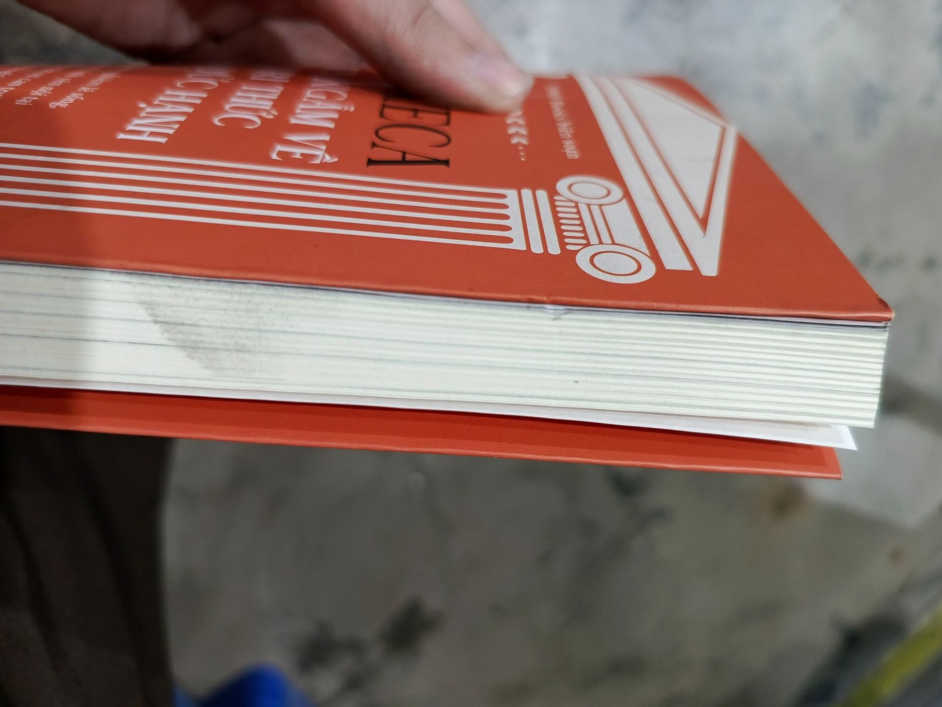 Seneca: Suy Ngẫm Về Tri Thức Và Đức Hạnh