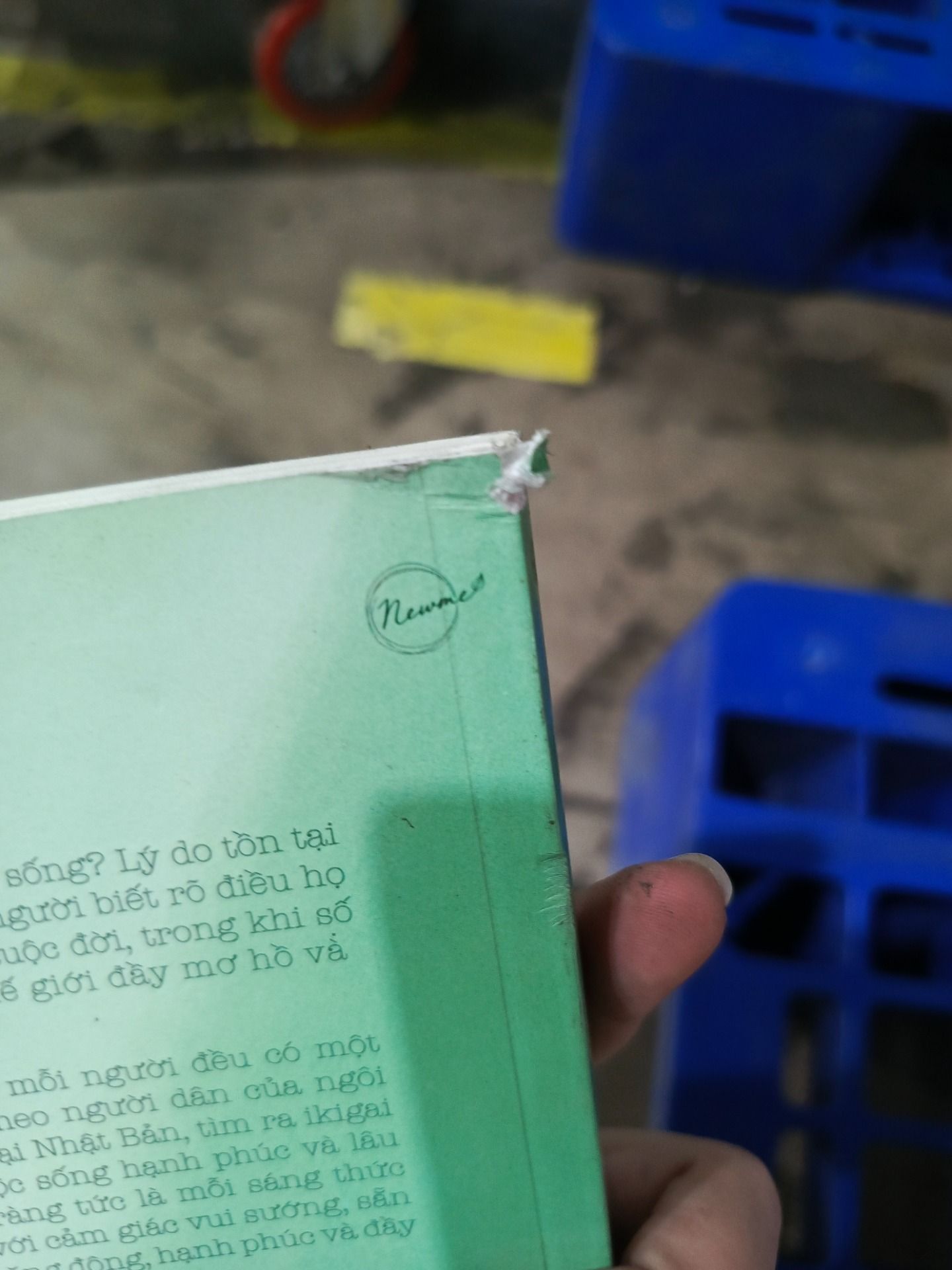 Ikigai – Đi Tìm Lý Do Thức Dậy Mỗi Sáng - 2022