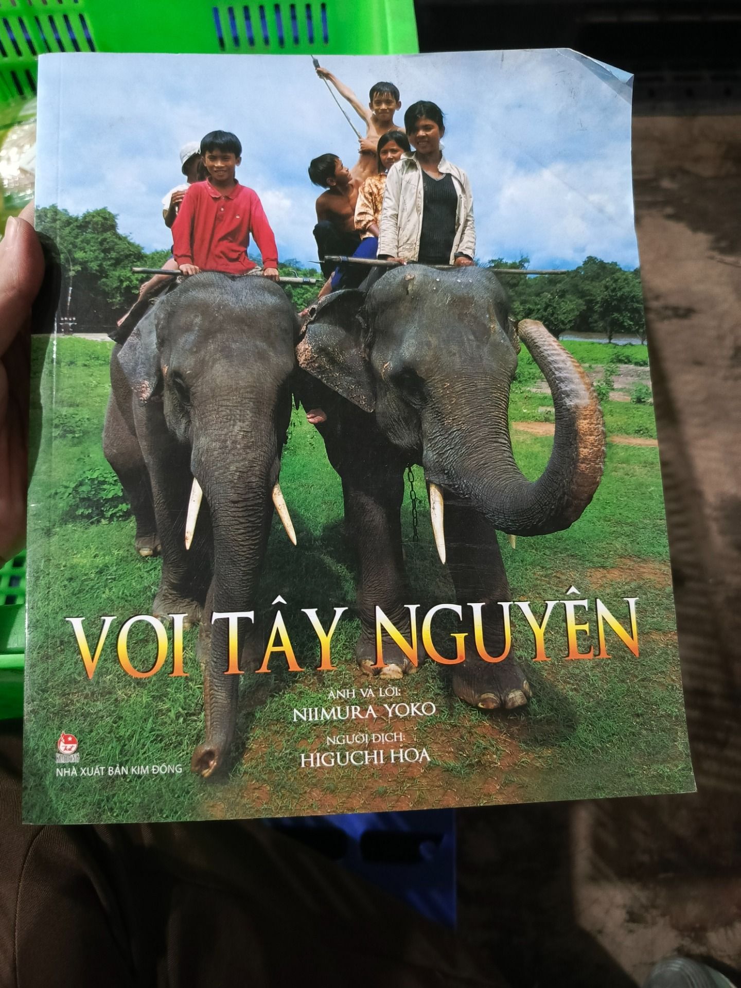 Voi Tây Nguyên